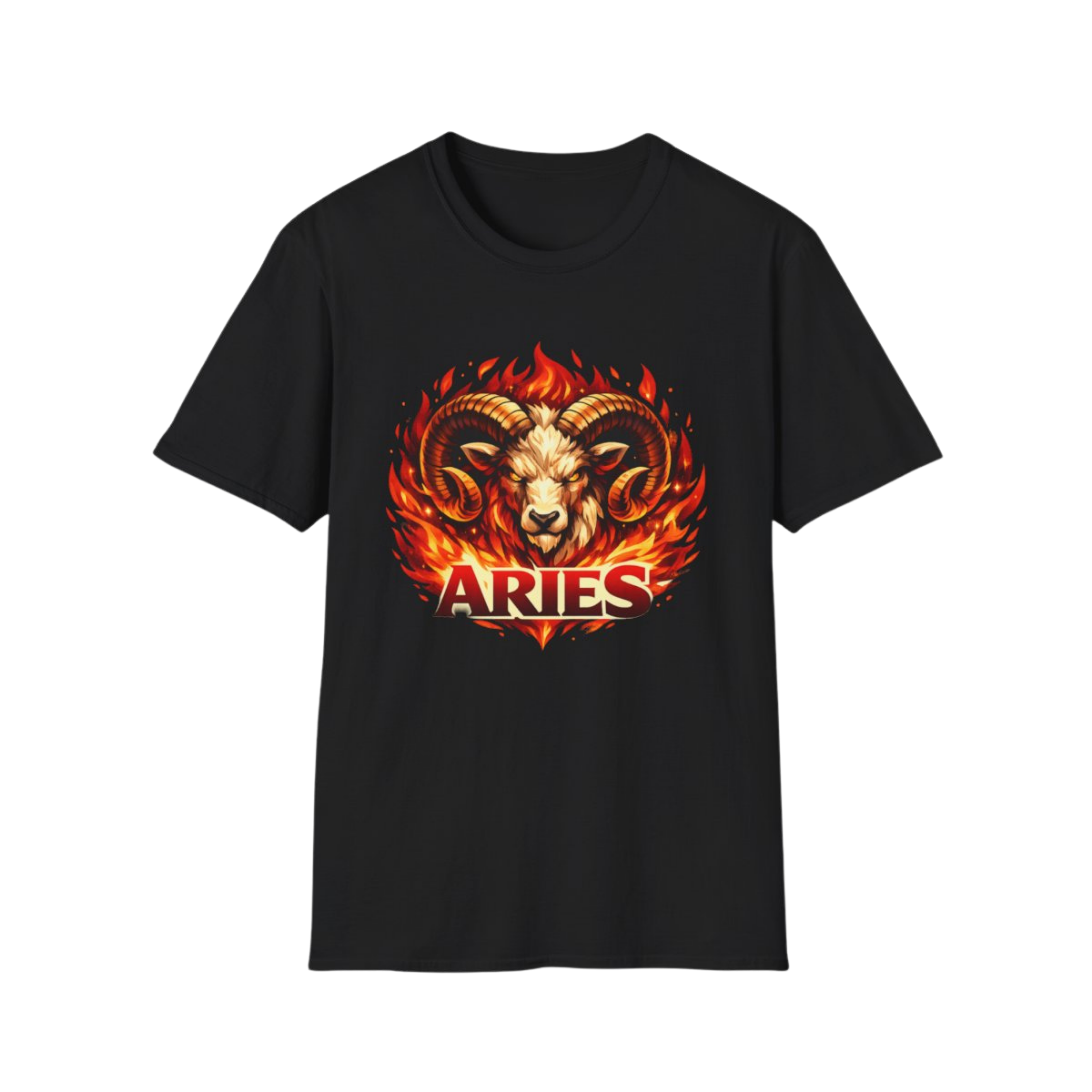 Aries T Shirt